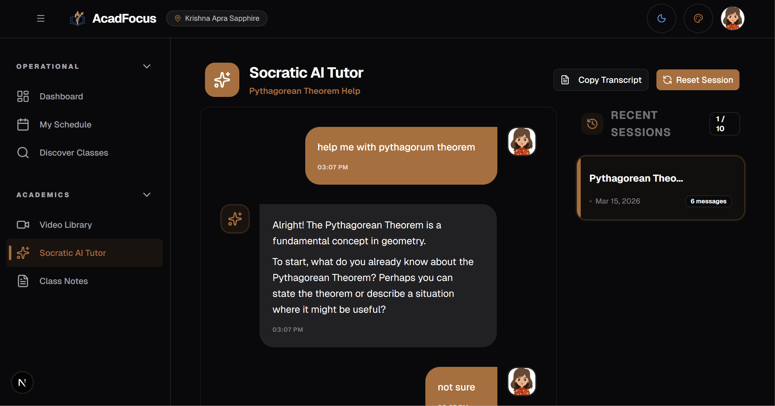 Socratic AI Interface